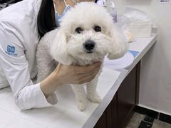 -美联众合动物医院·24h转诊中心