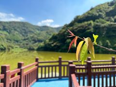 -黄埔油麻山森林公园