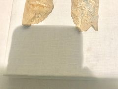 景点-王府井古人类文化遗址博物馆