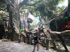 -多彩贵州城极地海洋世界