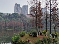 -重庆彩云湖湿地公园
