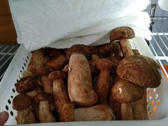 -菌之家·专业纯野生菌火锅·特色炒菌