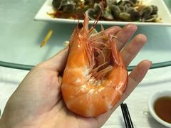 -金海湾海鲜排档(朱家尖店)