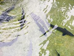 -源泉冷水鱼庄(小鱼洞店)