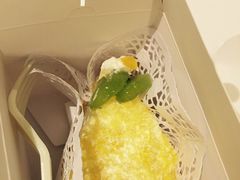 -COVA(上海K11艺术中心店)