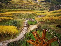 -紫鹊界梯田景区