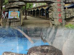 -东莞香市动物园