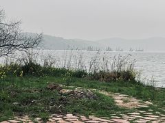 -上海市保健医疗中心