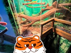 -广州长隆飞鸟乐园