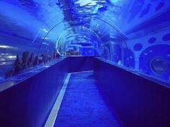 -成都浩海立方海洋公园