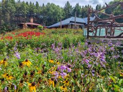 -香炉山国家森林公园