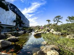 -罗红摄影艺术馆