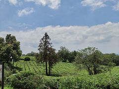 -南京市江宁方山