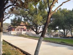 -太子山公园(园东路)