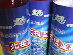 -北极村旅游风景区