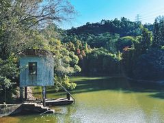 -滴水岩森林公园