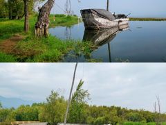 -洱海月湿地公园