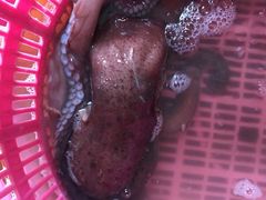 -浪琴湾尾角仔海鲜坊