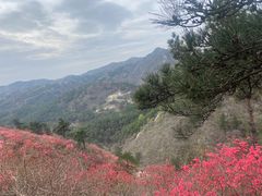 -木兰云雾山
