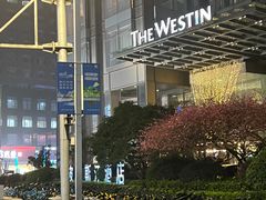 -宁波威斯汀酒店
