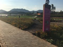 -君乐宝优致牧场