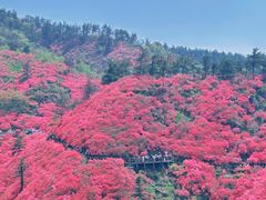 -木兰云雾山