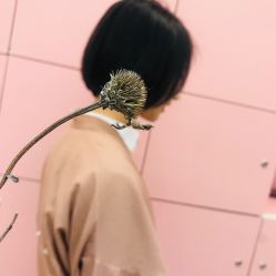点击看大图 -MY HAIR ARDOR