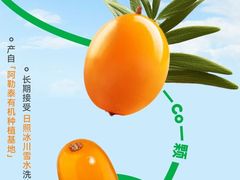 -CoCo都可(北美店)
