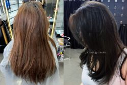 -Hair Code芭曲发型