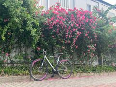 -ACEOFFIX折叠自行车(浦东专卖店)