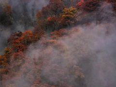 -秦岭风景区