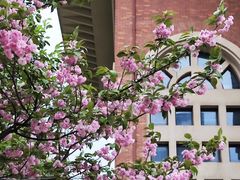 -长沙市青少年宫