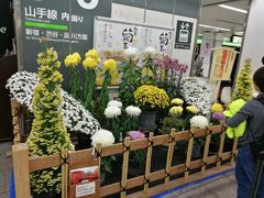 -一兰拉面(池袋店)