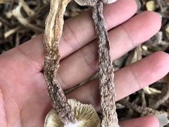 -最心疆拌面·抓饭·烧烤