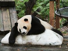 -广州长隆野生动物世界