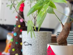 -Line 咖啡(石厦花园店)