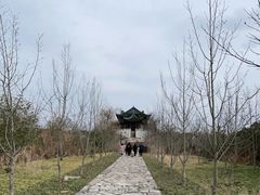 -广富林郊野公园