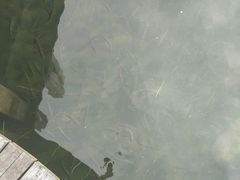 -太湖湖滨国家湿地公园-停车场