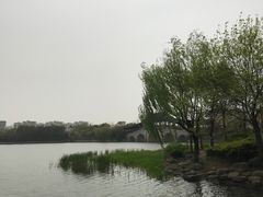-长广溪湿地公园