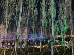 -石榴庄公园