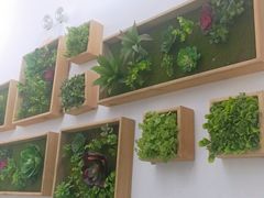 -云鱿记鱿鱼鸡·野生菌火锅(人民南路店)