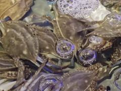 -澜悦港海鲜体验主题餐厅