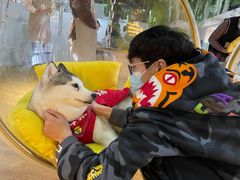 -Husky Go! 哈士奇体验馆·宠物咖啡厅狗咖
