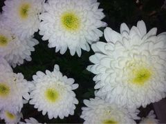 iphone_upload_pic-迎泽公园