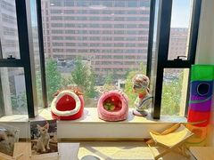-SIA国际艺术留学·作品集辅导(海淀校区)