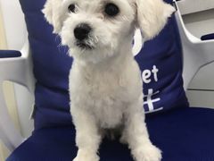 -宠颐生动物医院·心脏科·保险定点(锦阳分院)