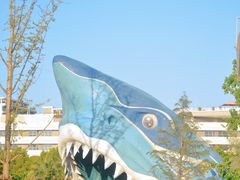 -上海海昌海洋公园