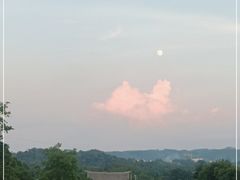 -南宁良凤江国家森林公园