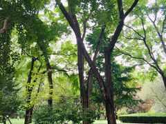 -玲珑塔公园