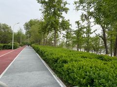 -绿堤公园